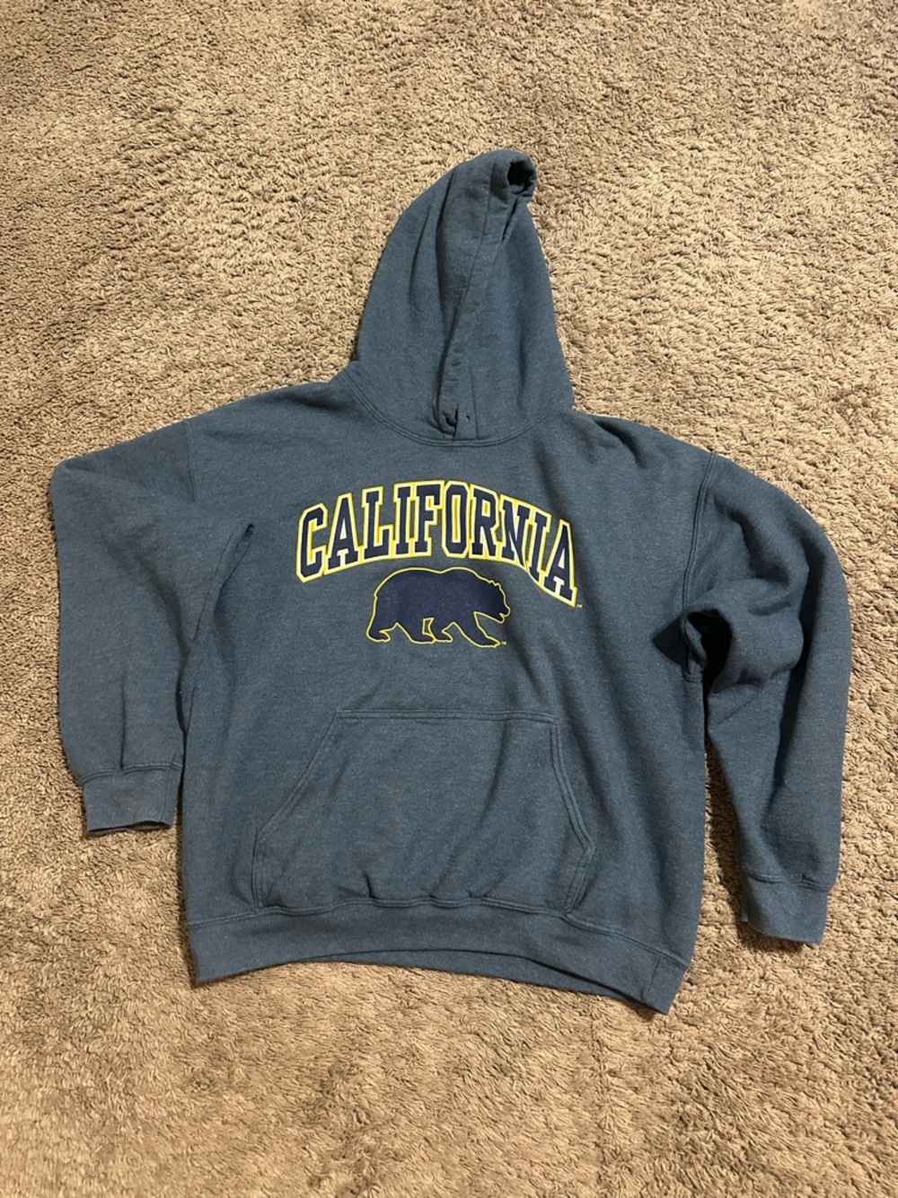 Vintage NCAA University of California “bears” hoodie 00s size large